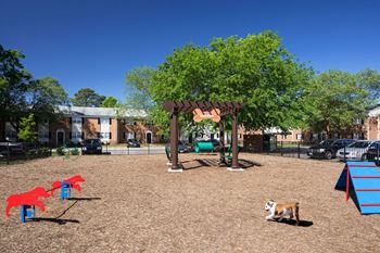 Bark Park